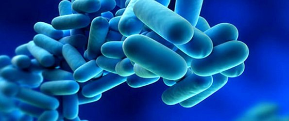 legionella-w595h250